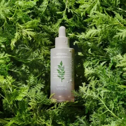 Artemisia Calming Ampoule