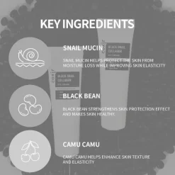 Black Snail Collagen Eye Cream