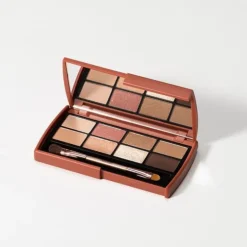 Dailism Eye Palette Brick Brown