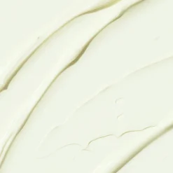 Daily Go-To Sunscreen SPF50+/PA++++