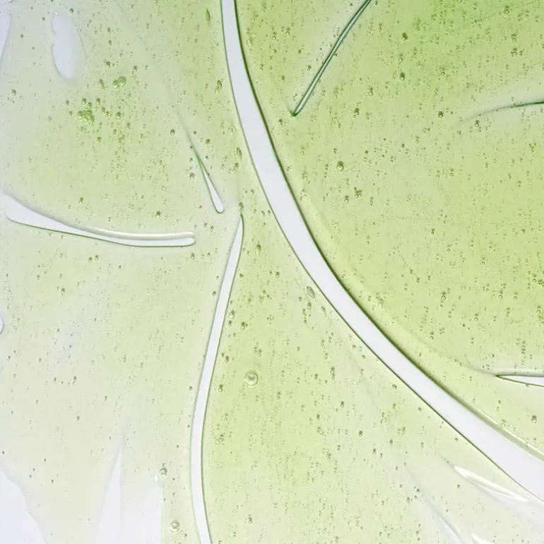 Herbalism Shampoo