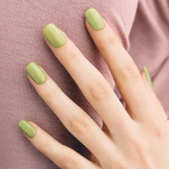 N Cream Sprout