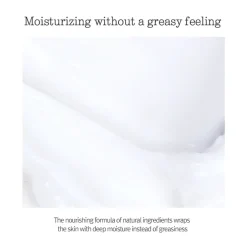 Nutrition Cream