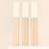 Penta Berry Panthenol Repair Concealer