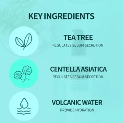 Tea Tree Pore & Sebum Toner