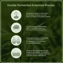 Time Revolution Artemisia Treatment Essence